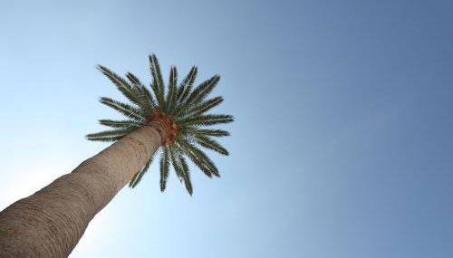 Villa Delle Ciliegie - Photo 4