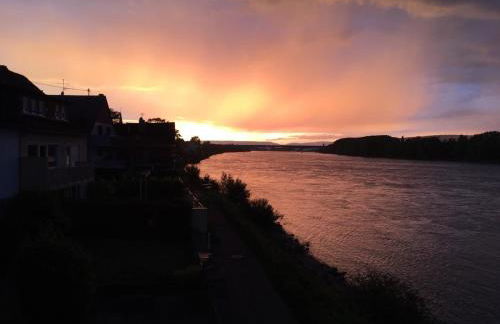 Haus Rheinterrasse - Foto 33