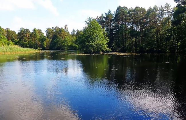 Chalet in Wendorf - Foto 17