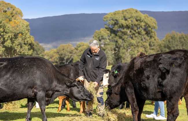 Halls Haven Holiday Units - Foto 42