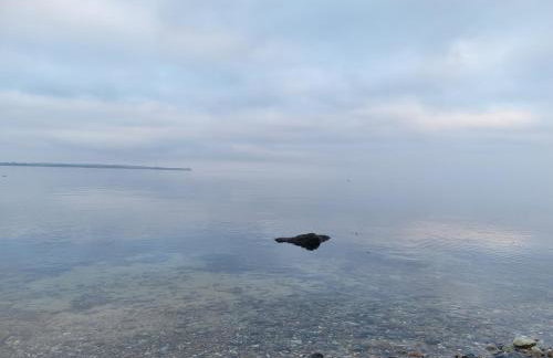 Ferienwohnung Haffblick - Photo 10