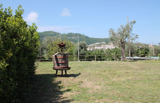 Agriturismo Piccolo Paradiso - Foto 63