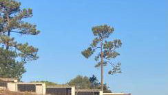 Casas de São José - Foto 5