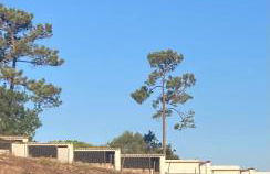 Casas de São José - Foto 5