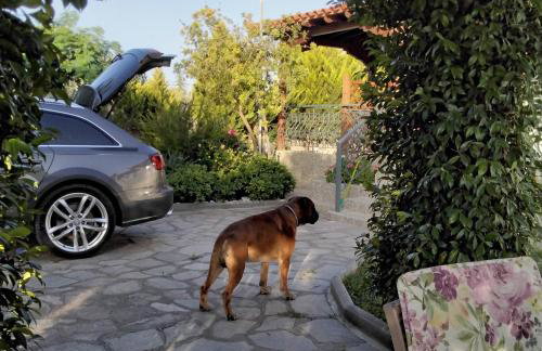 Elia by the sea - Photo 13