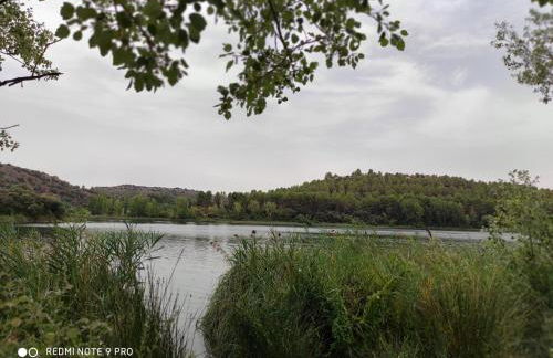 Manzanares - Foto 39