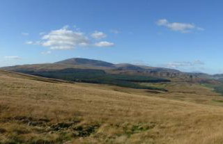 Rusko Stables - Foto 18