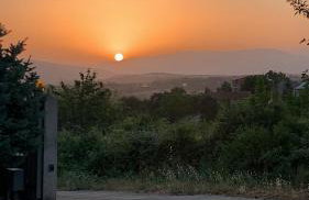 Villa Duje - Photo 35