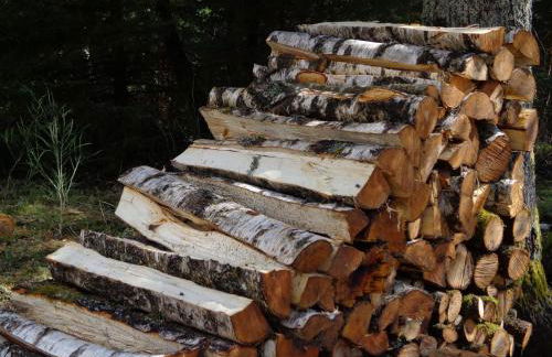 Le chalet de Nicolas - Your Nature Exclusive Retreat ! - Foto 72