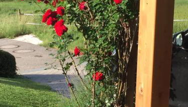 Chiemgauer Ferienhaus - Foto 4