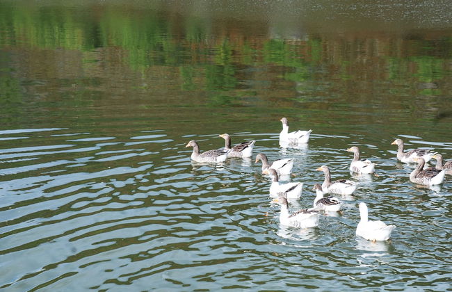 Gold City 2 Bedroom Villa 2 - Foto 50