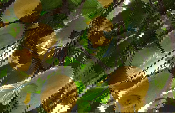 Il BoMa Affittacamere - Foto 39