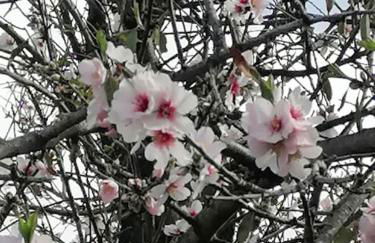 HACIENDA LA CENTENARIA,CASAS RURALES - Foto 9