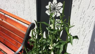 Ferienwohnung Stremme - Foto 4