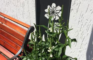 Ferienwohnung Stremme - Foto 4