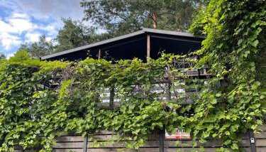 Domek nad jeziorem - Foto 4