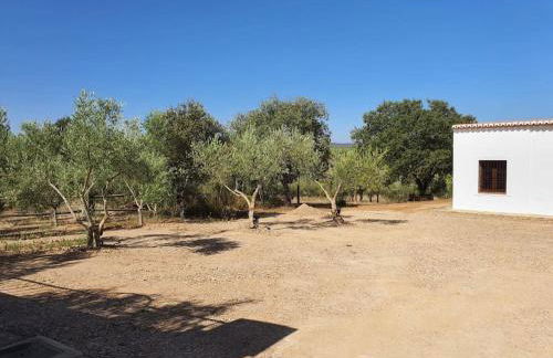 CASA RURAL MONTE DE AJUDA - Foto 19