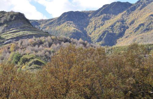 Ollar do Cido - Foto 28