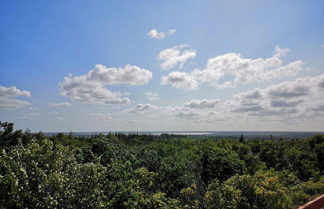 Beachfront Bungalow Bliss - By Traum Ferienwohnungen - Foto 15