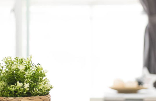 Love Taipei - Ximen - Photo 19