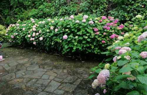 CASA VACANZA IL SORRISO DEL LAGO - Photo 14