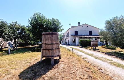 Country Chic Antico Casale - piscina idromassaggio lettini, solarium, cinema experience, wifi, parcheggio - Foto 1