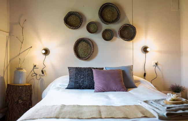 HolaCamp Camino - Photo 26