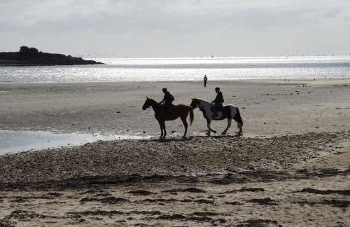 Charmant Gîte à St-Cast - Foto 19