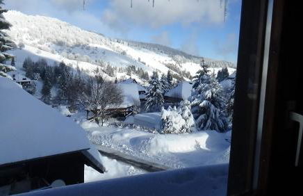 Happy Big Family - Foto 16