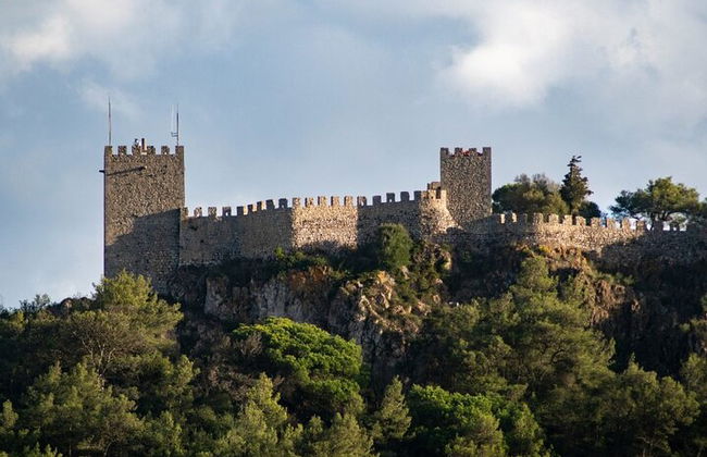 Arrabida and Bacalhoa Wine Tasting Private Tour from Lisbon - Photo 19
