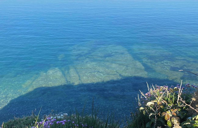 Elm - Bell Tent 2-4 Person Anglesey, North Wales - Photo 10