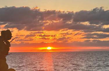 3-BR space in charming Hollywood - Foto 11