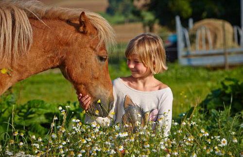 Urlaubsreiterhof Trunk - Foto 65