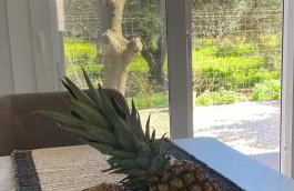 YVONNE's HOUSE - Foto 18