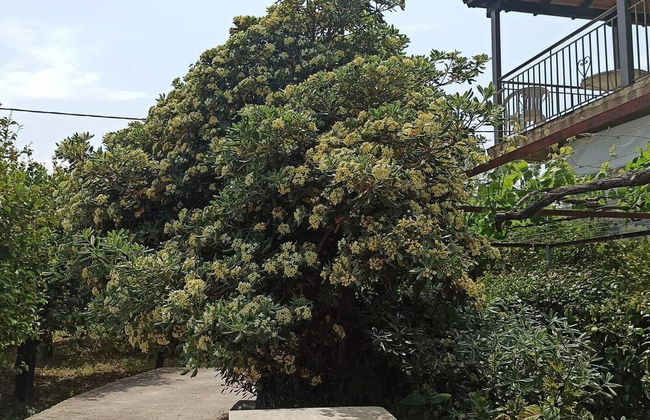 Lovely 2-bedroom Villa in Akrata, all Seasons! - Foto 50