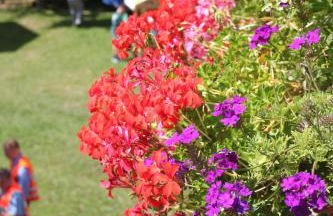 Schloms Hof - Foto 49