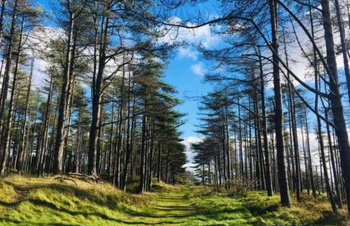 Cosy townhouse near Kidwelly - Foto 14