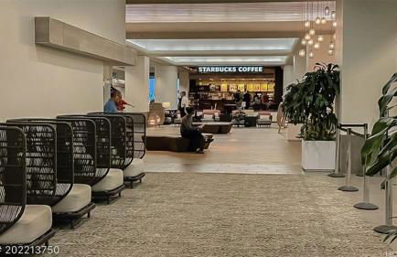 Mountain View Escape Ala Moana Suite 804 NEWEST - Foto 14