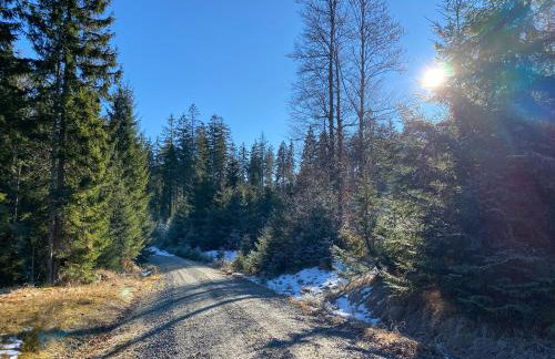 Appartement am See - Foto 34