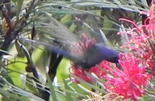 Paraiso em Piracaia - Belíssima Chácara - Photo 30