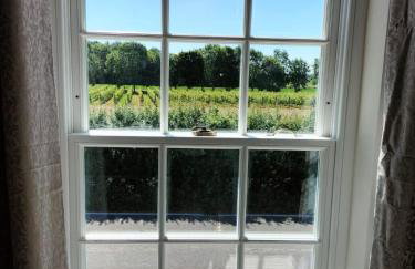 Cosy cottage with vineyard view near Goodwood Chichester - Foto 8