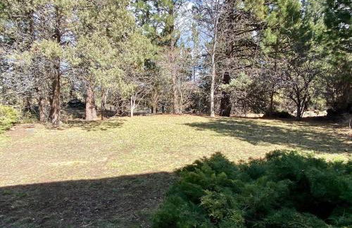 Hollinshead Haven 30 days min - Photo 17