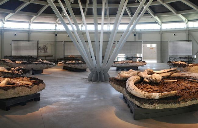 La Fonte di Montebuono - Foto 71