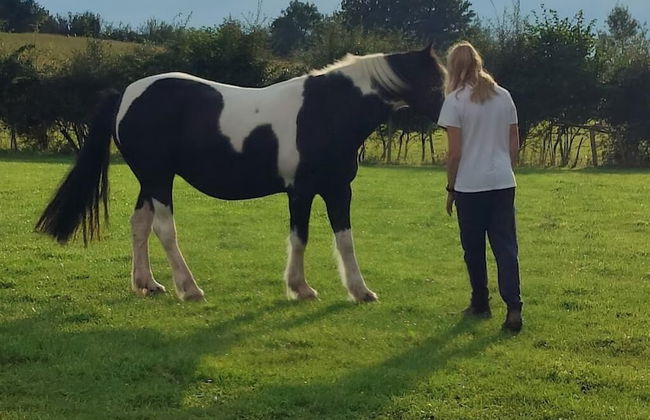 Peaceful Cabin in Skegby -sleeps2- Firer Pit - Foto 14