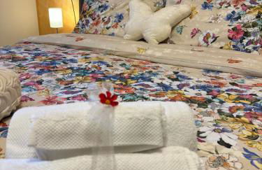 Il Sogno di Olly - Assisi - Foto 27