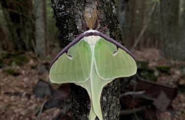 The Disco Den on Toad Road - Photo 32