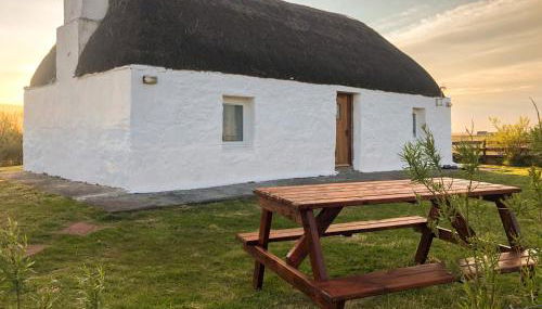 Taigh Violet Rose - Foto 1