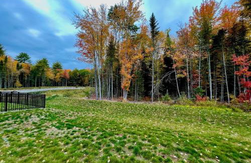 Anne's Adagio - Photo 25