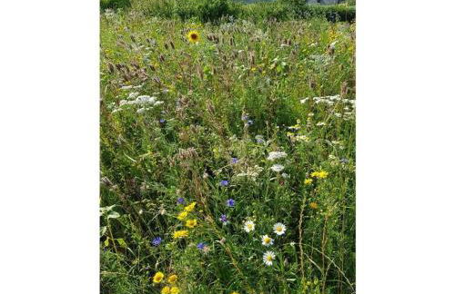 Charming apartment in Buch - Foto 7