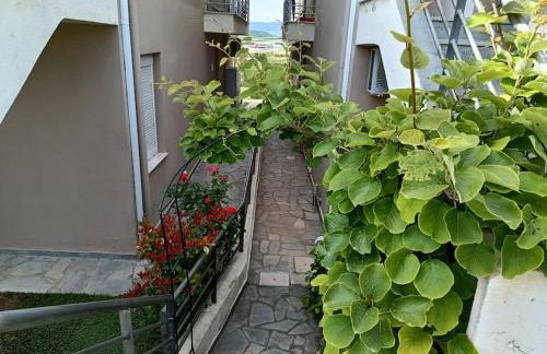 Hilltop Sea View - Foto 17